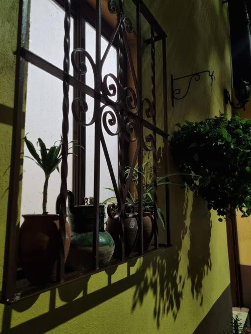 Casa Aba Linda Casa En El Centro De Coyoacan. Città del Messico