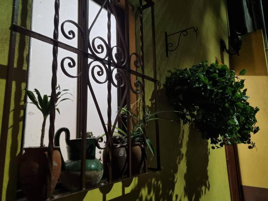 Casa Aba Linda Casa En El Centro De Coyoacan. Casa vacanze *